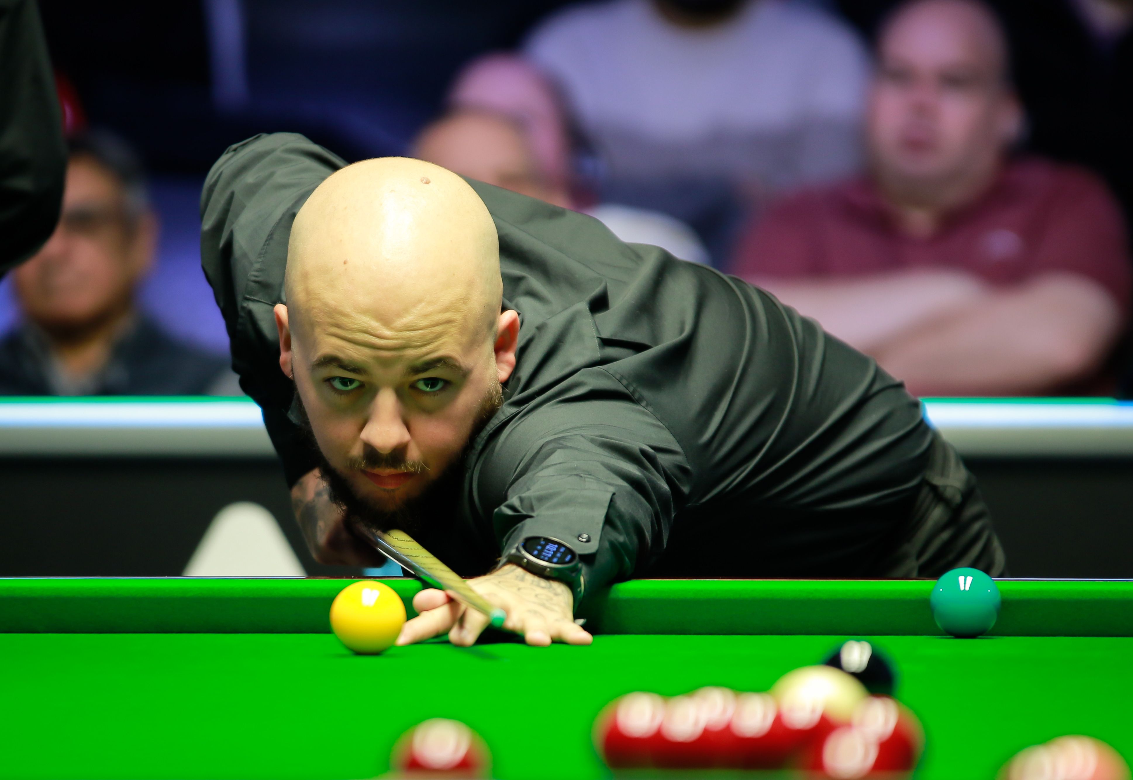 了海南的阳 了海南的阳